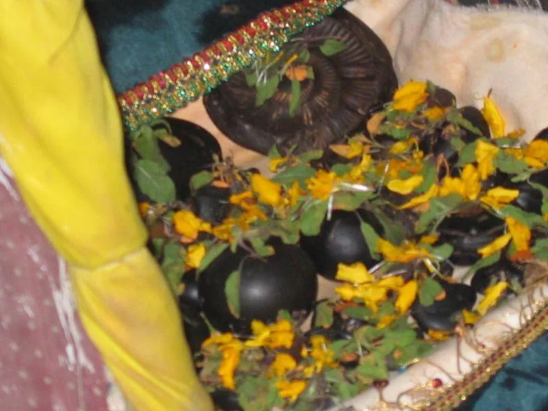 Interior view of Śrī Gopāla Bhaṭṭa Goswāmī's Samādhi Mandir